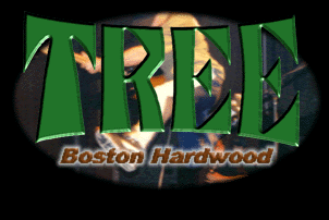 TREE - Boston Hardwood